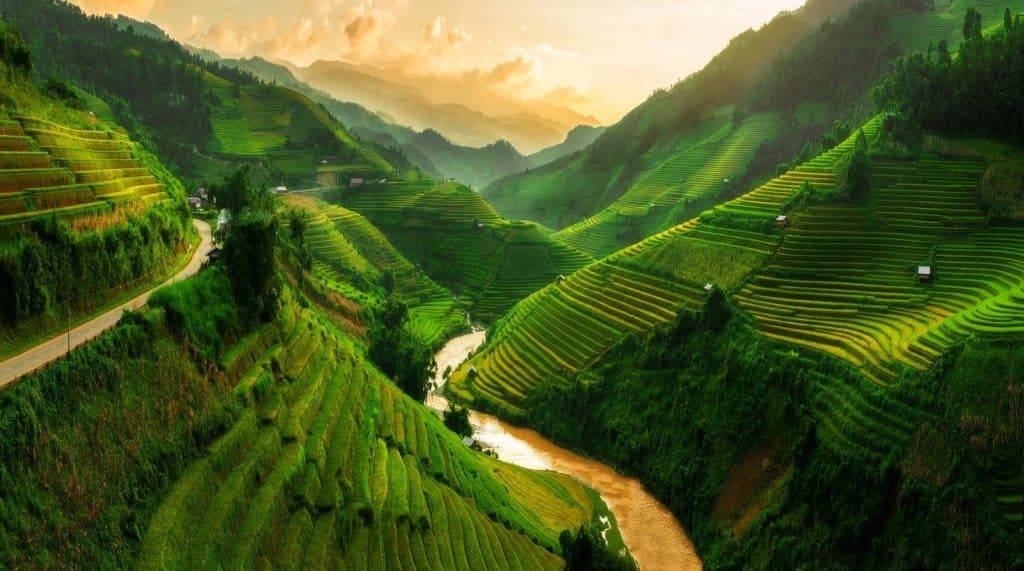 Vietnam