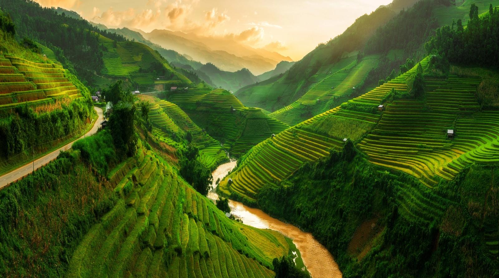 Vietnam