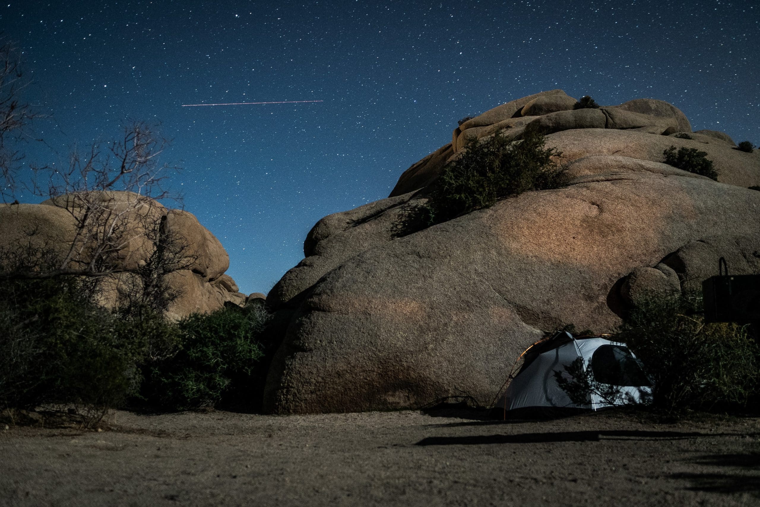 Joshua National Park 