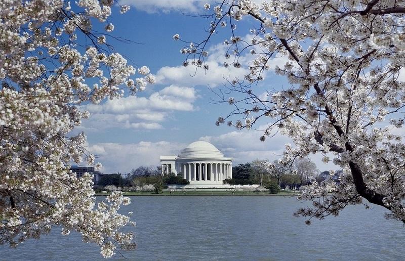 Top Places to Visit in the US in Spring