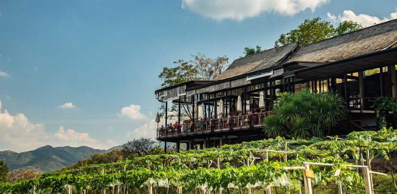 best wine destinations in Asia