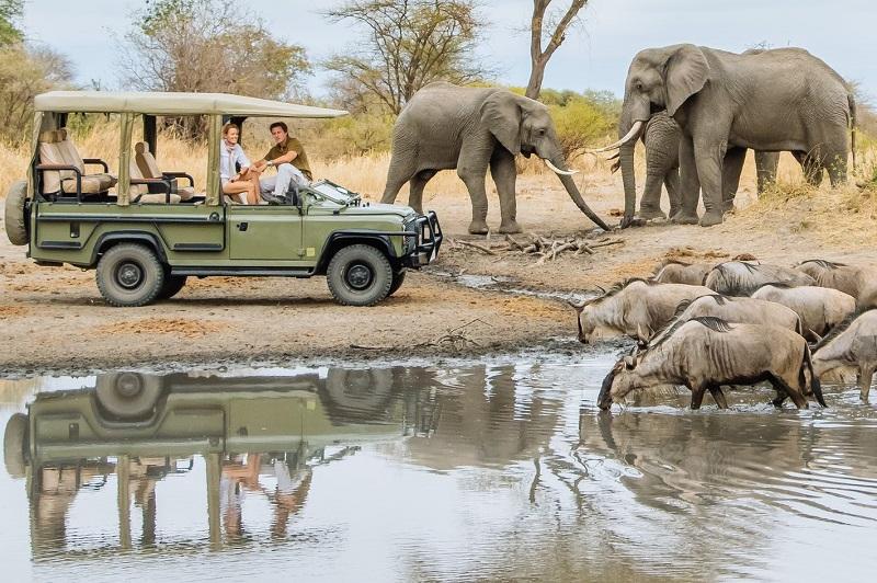 Safari Destinations In Tanzania