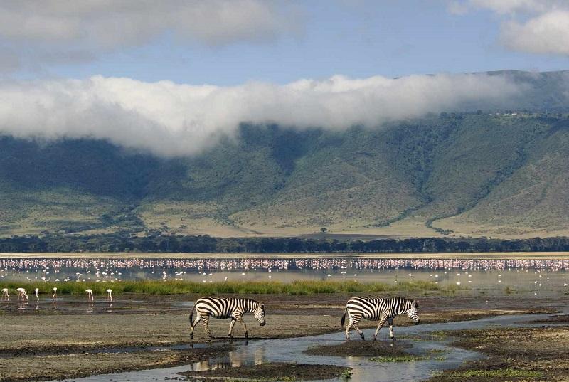 Safari Destinations In Tanzania