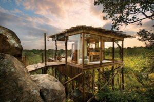 Top Safari Destinations In South Africa