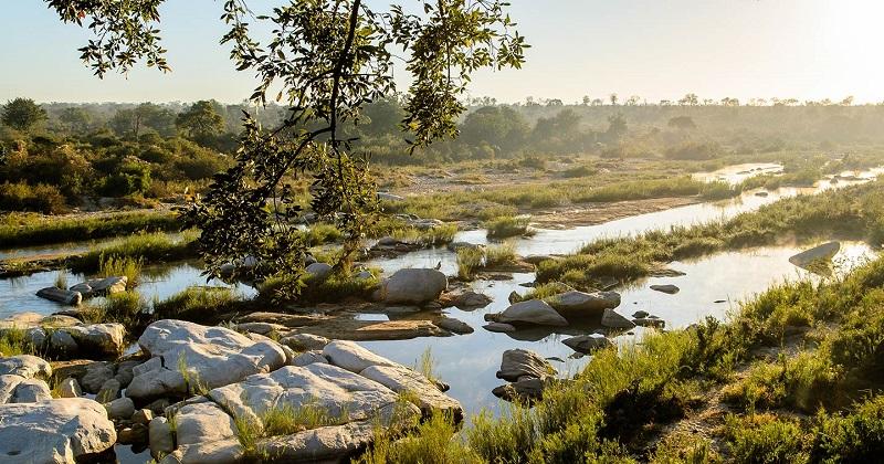 Safari Destinations In South Africa To Check Out This Year