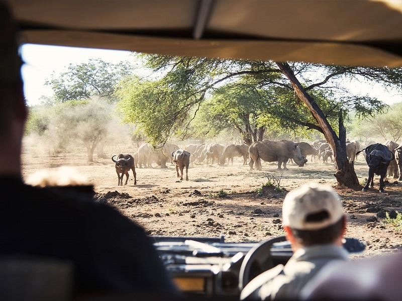 Safari Destinations In South Africa To Check Out This Year