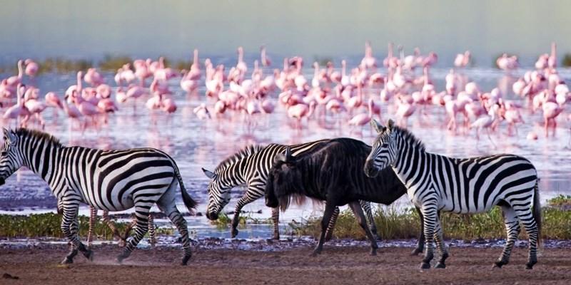 safari destinations in Kenya