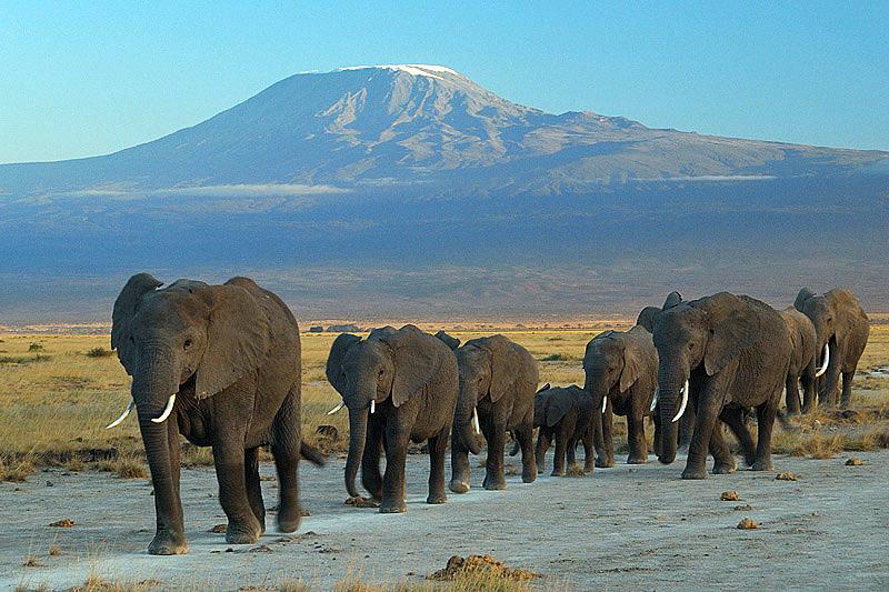 safari destinations in Kenya