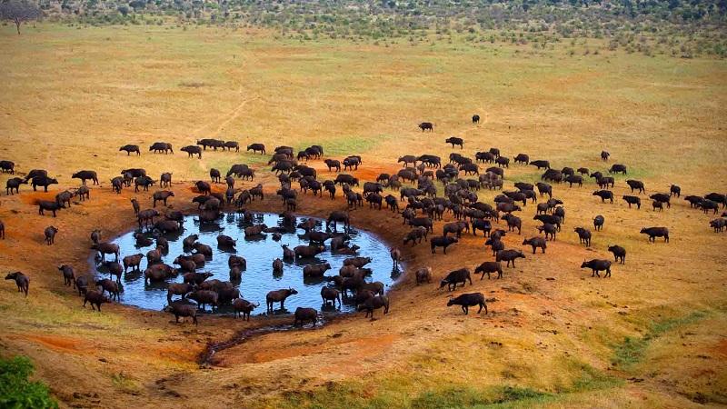 safari destinations in Kenya