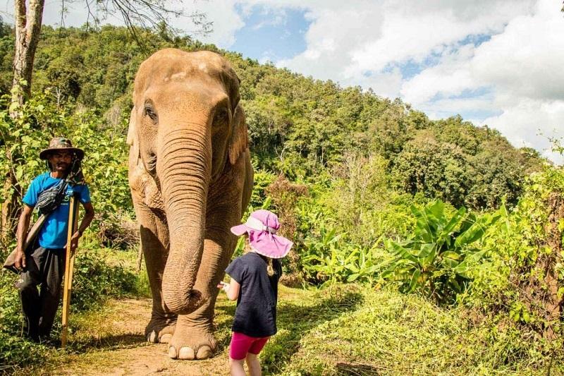 Things to do in Chiang Mai with Kids