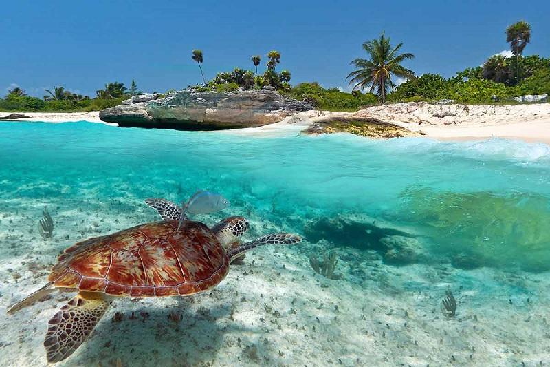 Top Islands in Mexico worth visiting