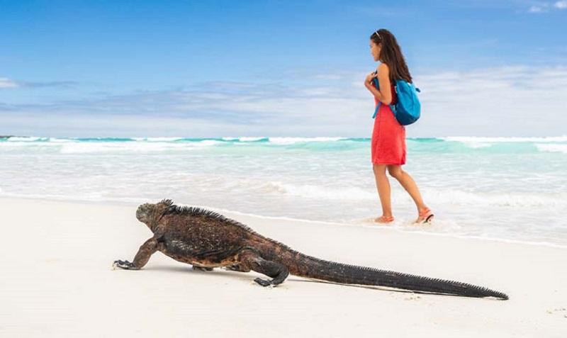 Complete guide to Galapagos Islands