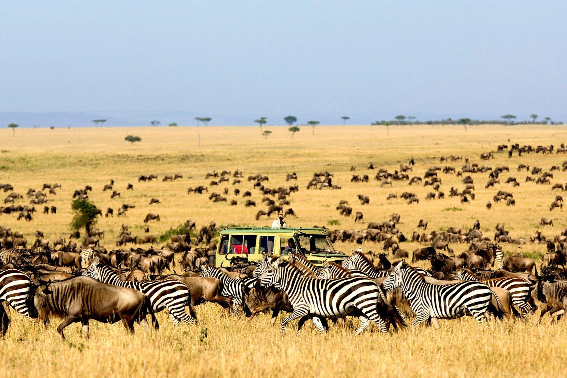 Guide to Kidepo Valley National Park