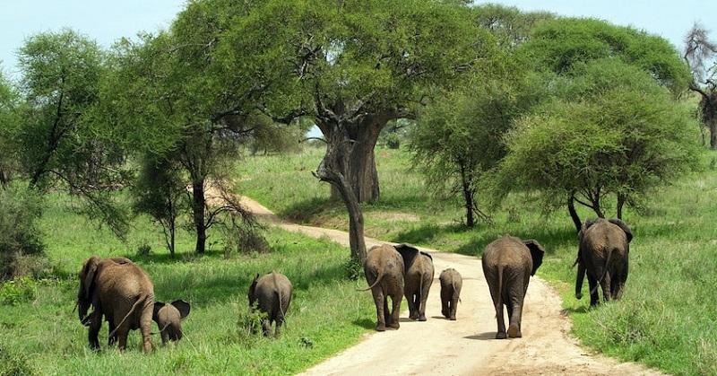 Guide to Kidepo Valley National Park