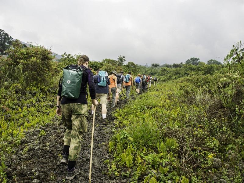 Guide to Kidepo Valley National Park