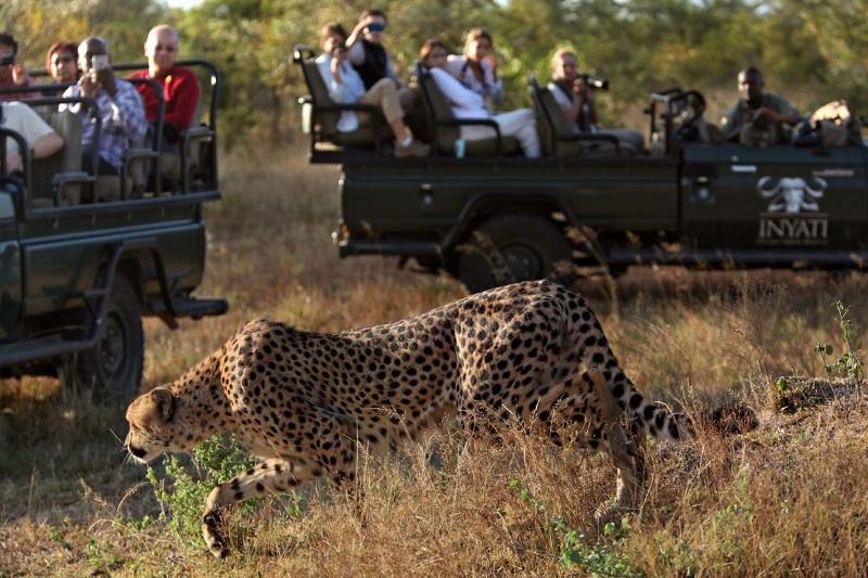 Guide to Kruger National Park