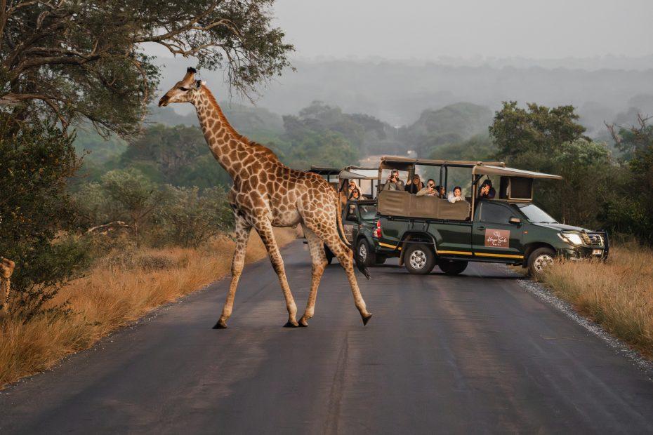 Guide to Kruger National Park