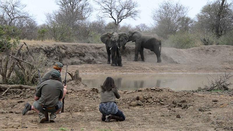 Guide to Kruger National Park