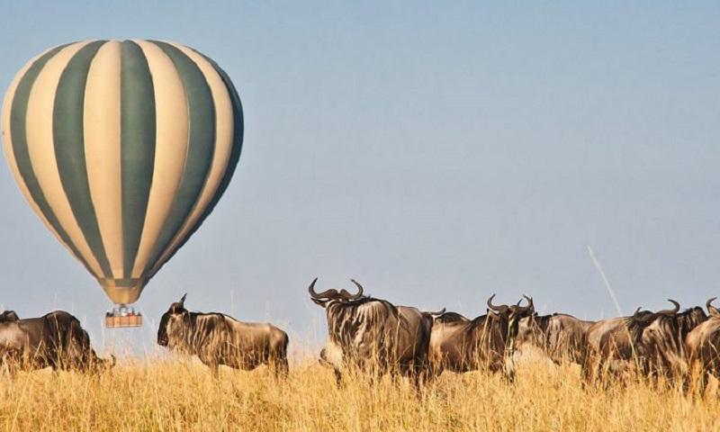 Guide to Masai Mara National Reserve