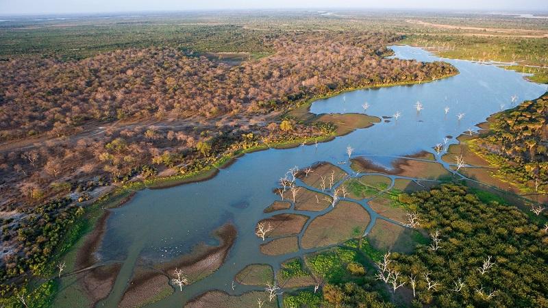 Guide to Okavango Delta