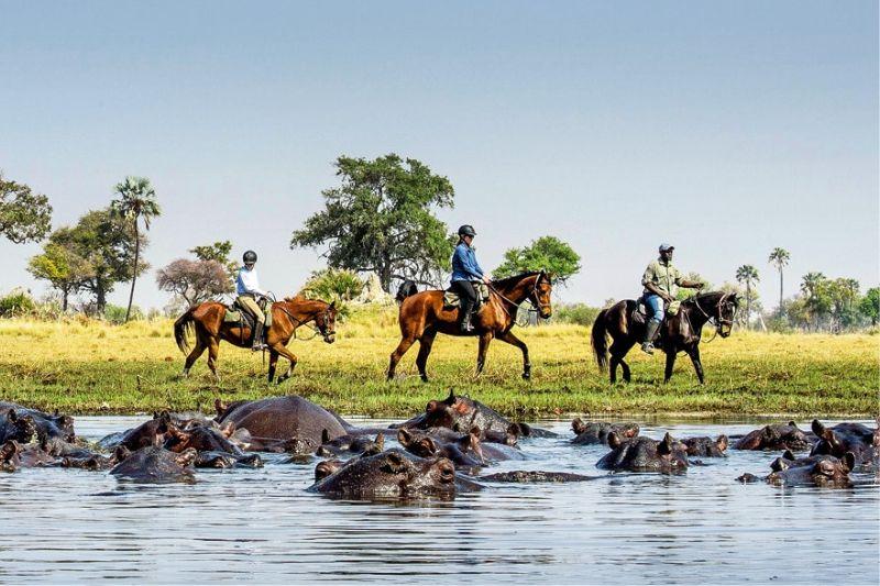 Guide to Okavango Delta