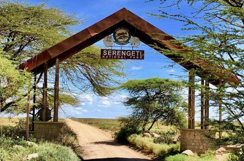 Guide to Serengeti National Park