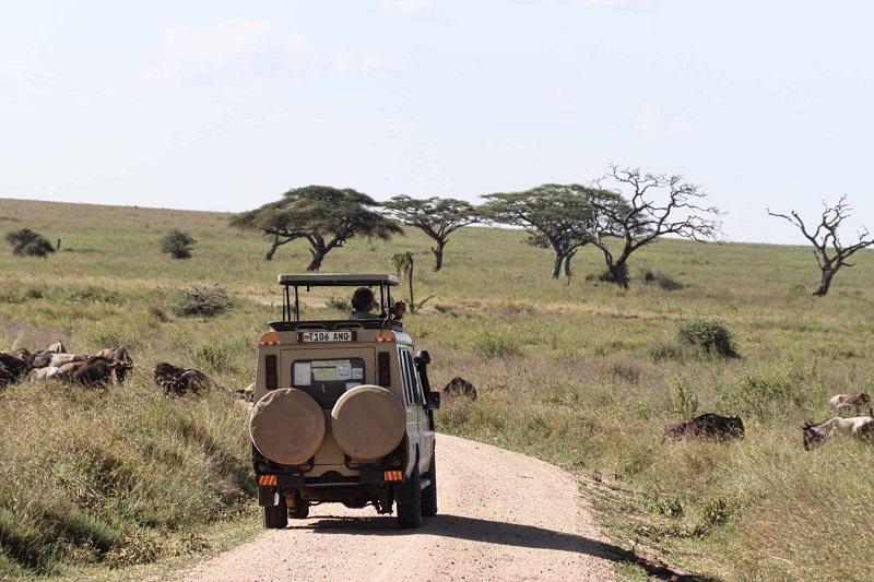 Guide to Serengeti National Park