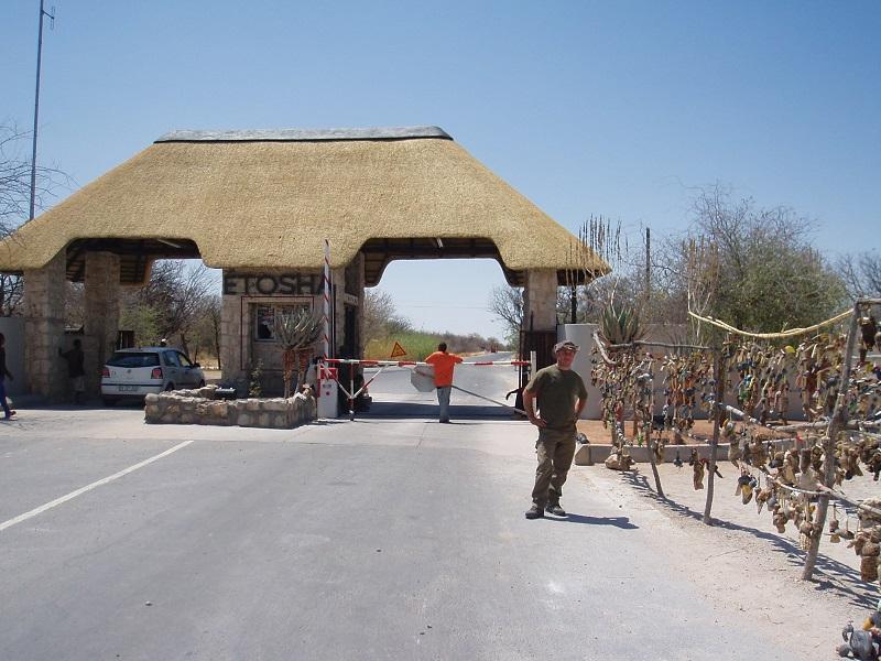 Guide to Etosha National Park