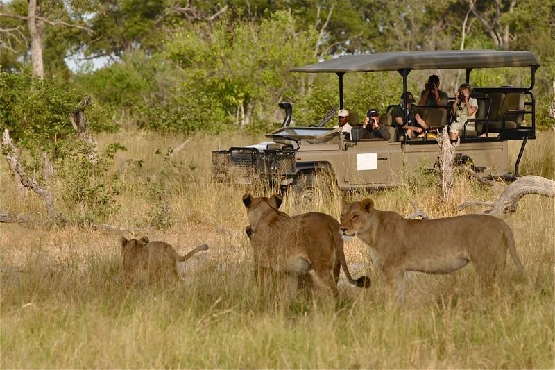 Guide to Murchison Falls National Park