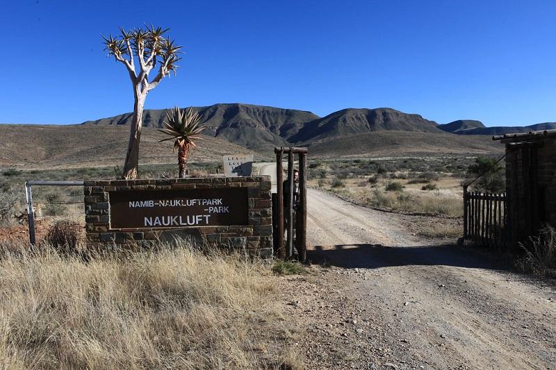 Guide to Namib Naukluft National Park