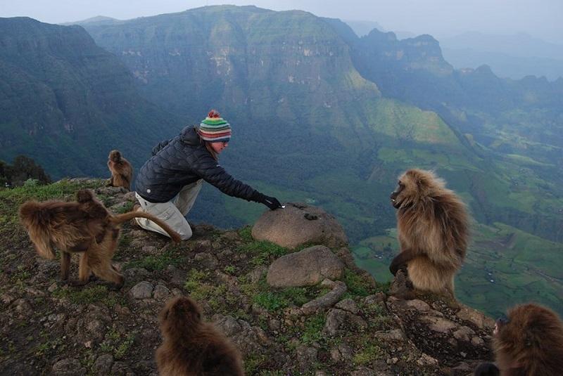 Guide to Simien National Park