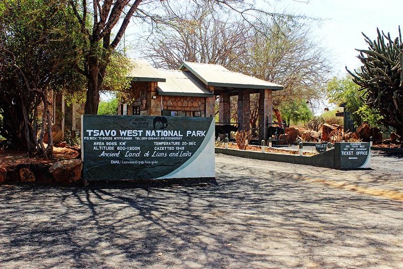 Guide to Tsavo West National Park