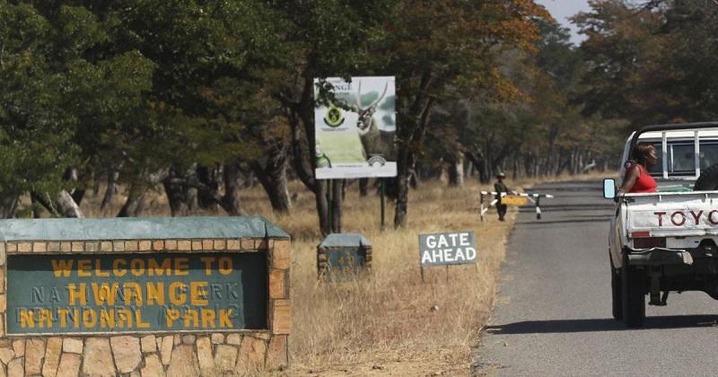 Guide to Hwange National Park