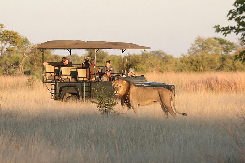 Guide to Hwange National Park