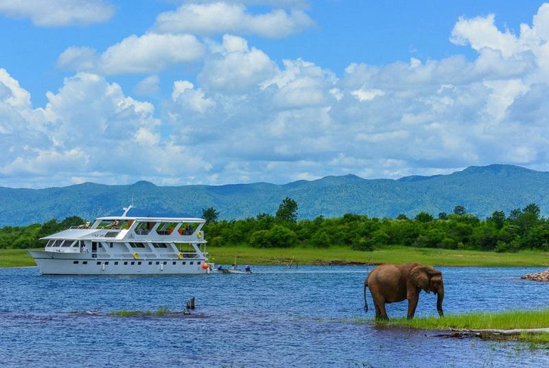 Guide to Matusadona National Park