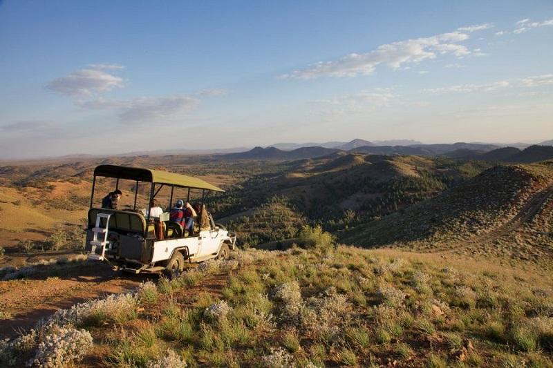 Best Safari Destinations in Australia