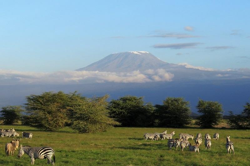 Guide to Amboseli National Park