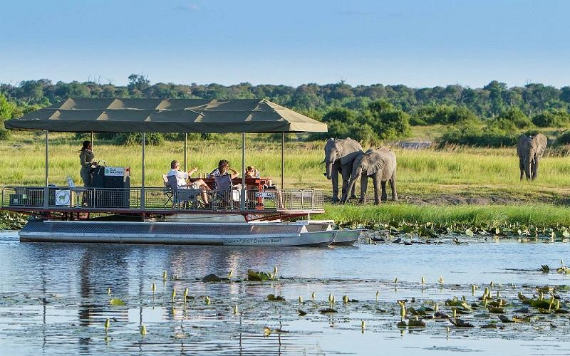 Guide to Chobe National Park