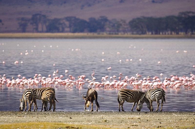 Guide to Lake Nakuru National Park