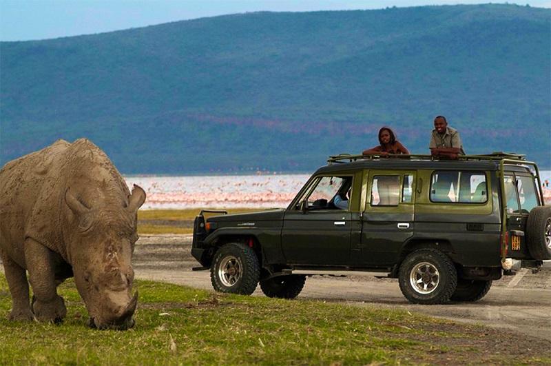 Guide to Lake Nakuru National Park