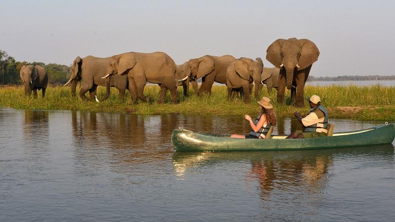 Guide to Lower Zambezi National Park