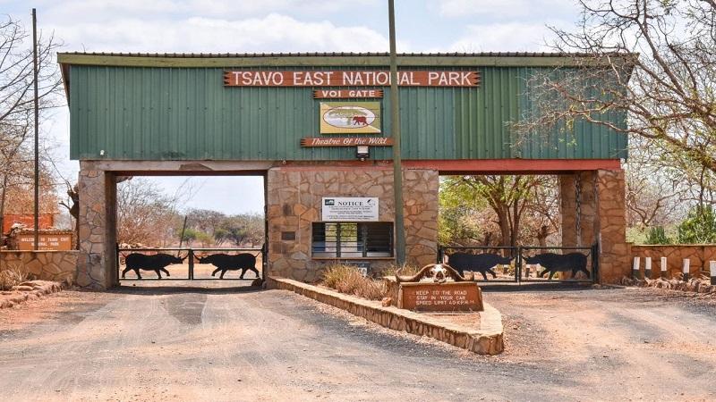 Guide to Tsavo East National Park