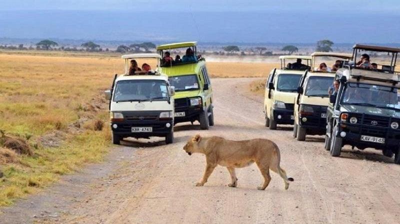 Guide to Tsavo East National Park