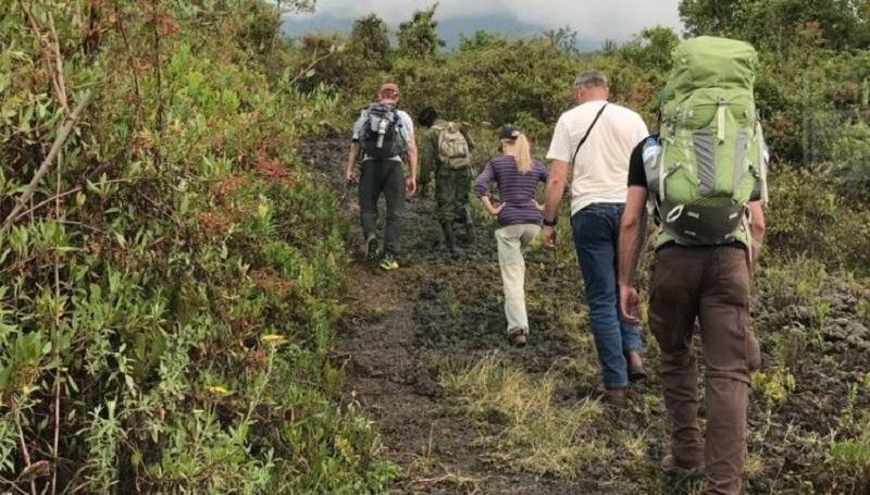 Guide to Virunga National Park