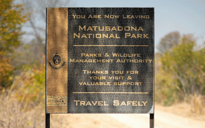 Guide to Matusadona National Park