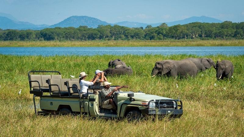 Guide to Liwonde National Park