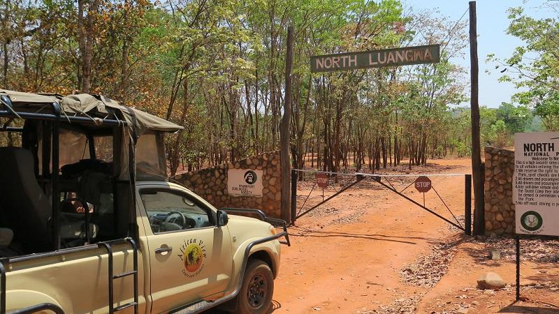 Guide to North Luangwa National Park