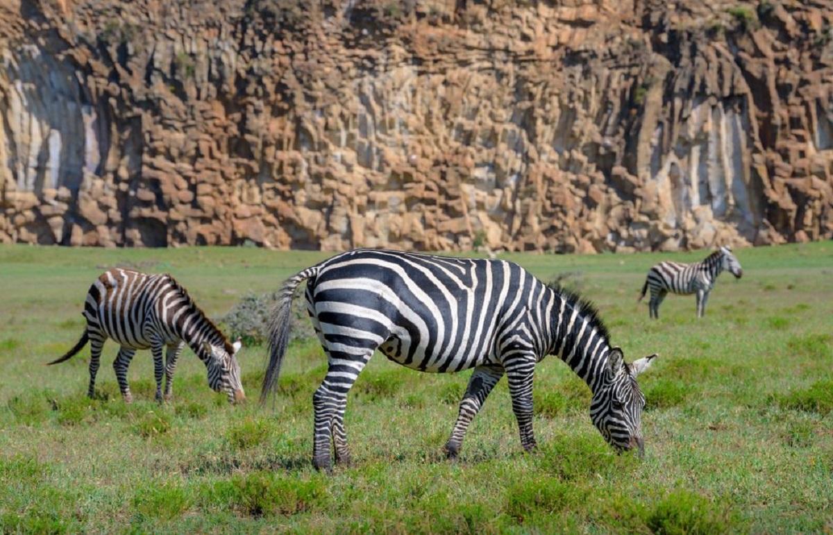 Guide to Hell's Gate National Park