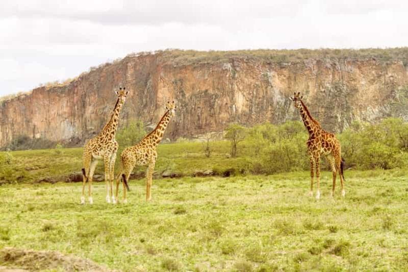 Guide to Hell's Gate National Park