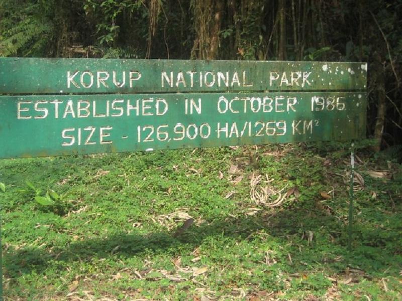 Guide to Korup National Park